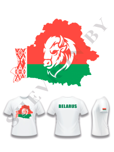 Футболка с DTF-печатью на спине Belarus